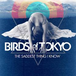 Birds Of Tokyo : The Saddest Thing I Know